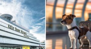 Flughäfen Düsseldorf und Köln/Bonn: Ruhige Zuflucht an Silvester