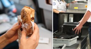Essen ins Flugzeug nehmen: Wichtige Infos für Ihr Gepäck