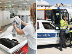 Seltene Elfenbeinschnitzerei am Flughafen München beschlagnahmt