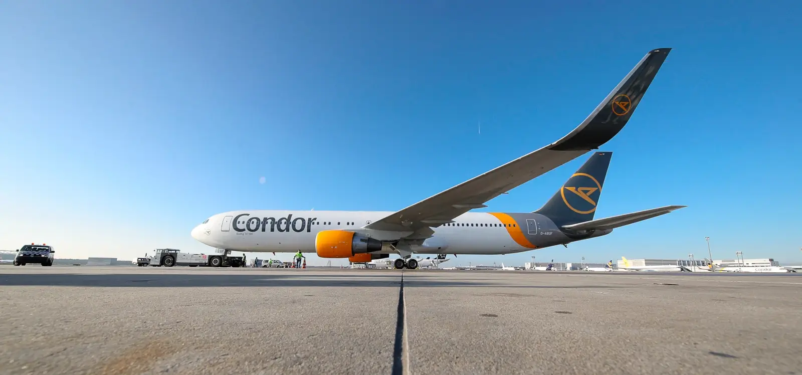 Condor Winterflüge 2025/26