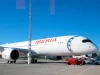 Sommerboom bei Iberia
