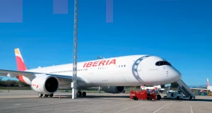 Sommerboom bei Iberia